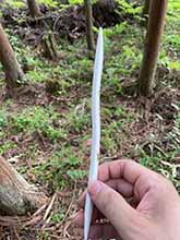 絞り巻1