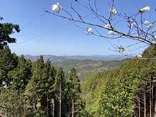 余野