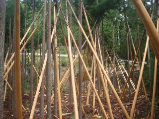 本仕込作業